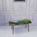 Striking Mid Century Vintage Retro 1950s Kitsch Picture Coffee Table With Dansette Legs