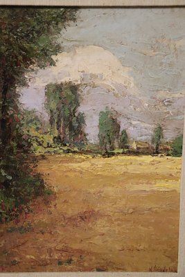 Italian Artist, Landscape, Oil Painting On Cardboard, Framed photo Art