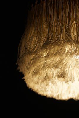 Scandinavian Modern Model Frants T601 Ceiling Lamp By Hans Agne Jakobsson For Hans Agne Jakobsson Ab Markaryd, 1960s photo buy