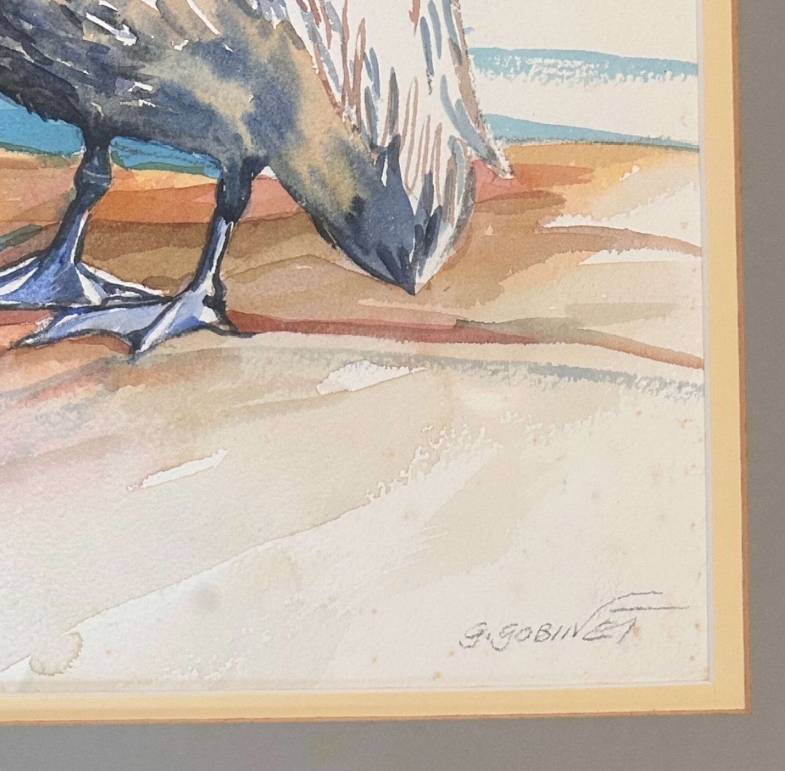 Gilly Gobinet   Pelican   Watercolour On Paper Signed photo for sale