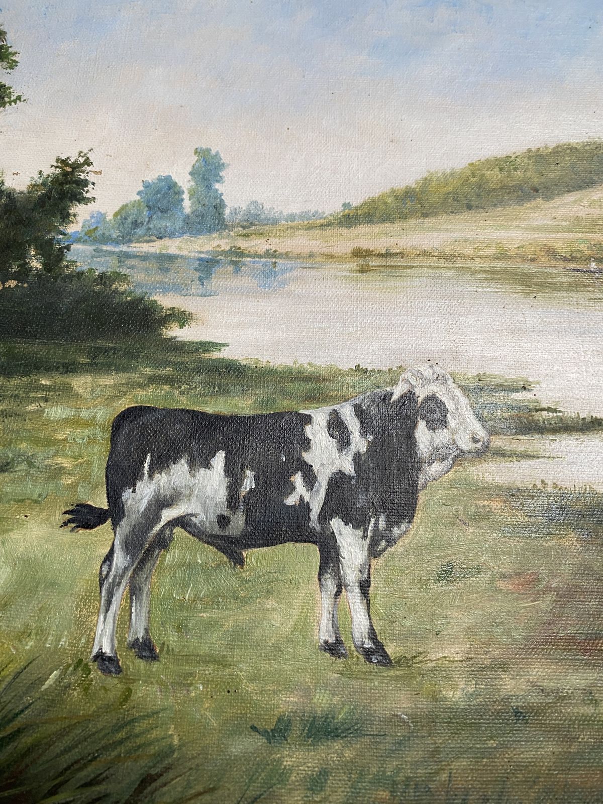 Cow By A River   French School, Late 19th Century photo for sale