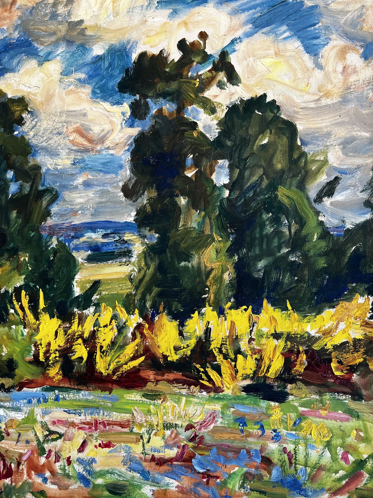Country Landscape, Original Large French Oil On Canvas Painting photo 730.0