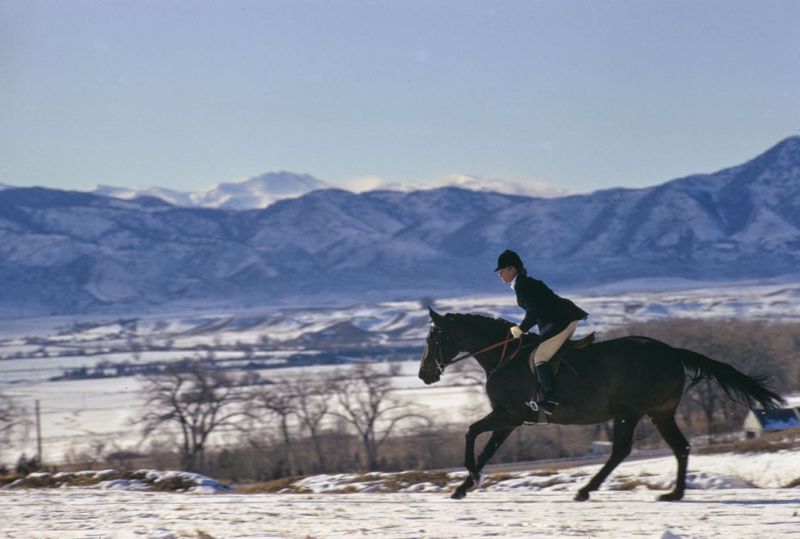 Toni Frissell 'A Horse Ride In The Snow' Unframed Archival Pigment Print