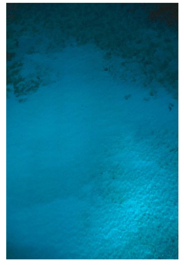 Toni Frissell 'A Seaview In Nassau' Unframed Archival Pigment Print photo furniture