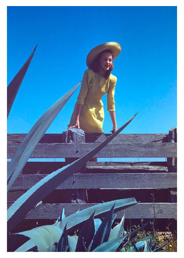 Toni Frissell 'Girl In Yellow' Unframed Archival Pigment Print photo furniture