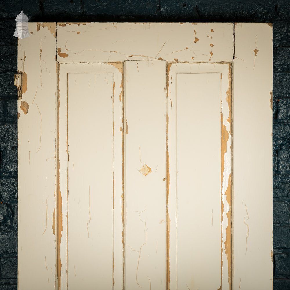 Moulded 4 Panel Door – Worn White Paint, Honey Pot Handles photo furniture
