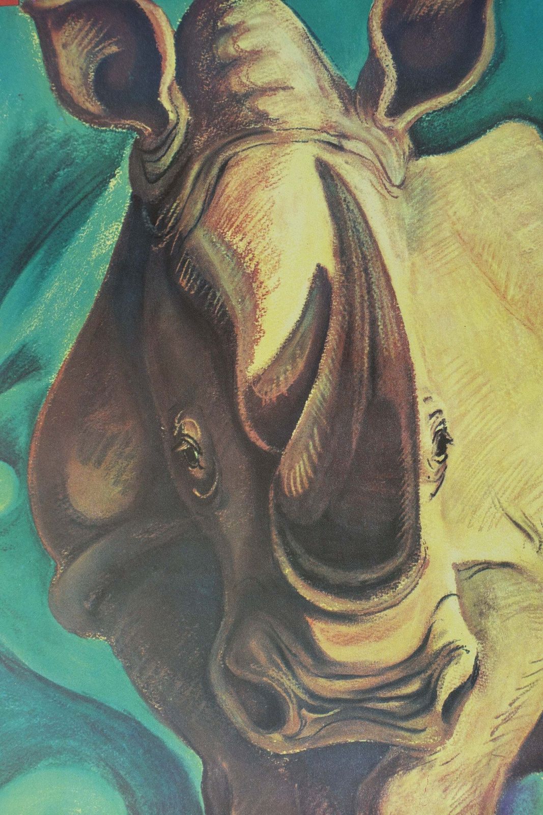 1969 Tierpark Berlin (Rhino) — Vintage Poster photo Kunst