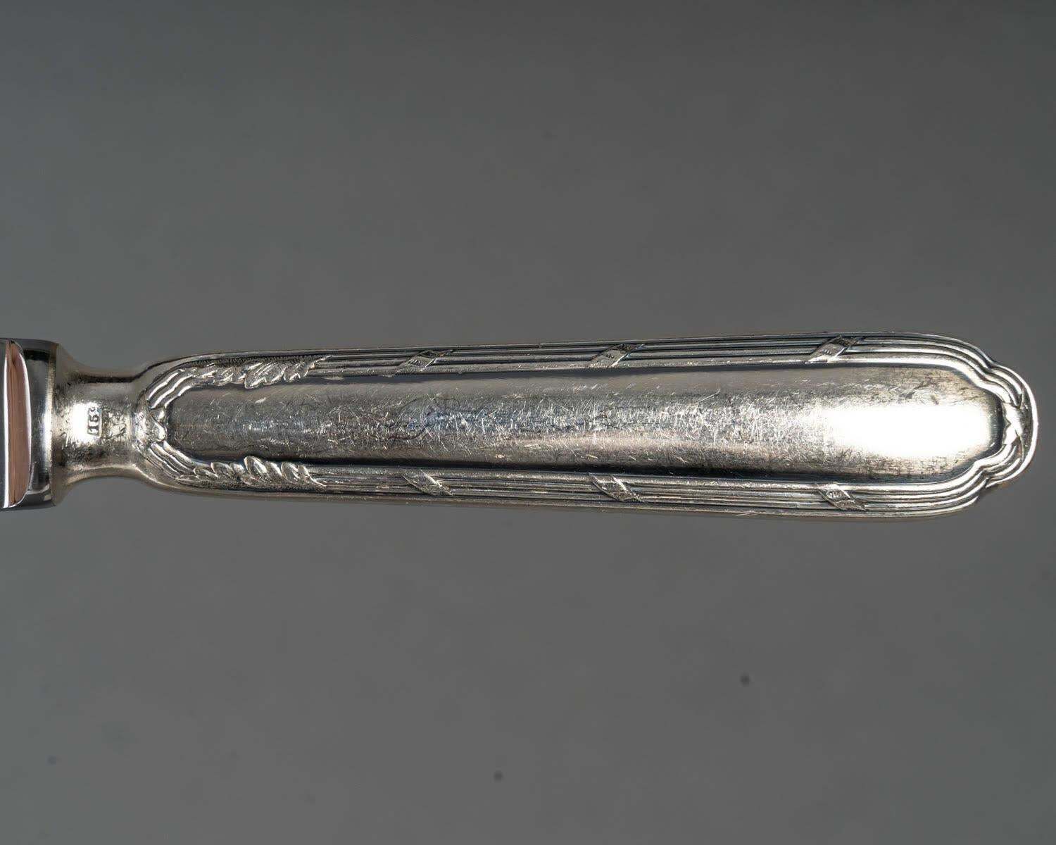 3423.0 Ercuis Cutlery Service, Silver Plated, 20th Century. photo