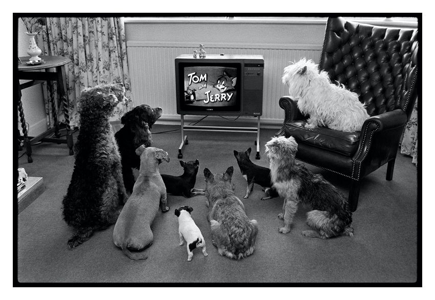 Arthur Steel 'Captivated Audience' Unframed Silver Gelatin Fibre Print photo furniture