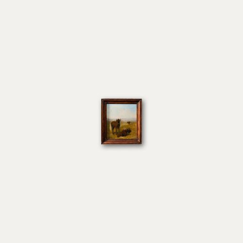Circle Of Samuel Daniell (1775 1811) Oil, Wildebeest On Grassland photo vinterior