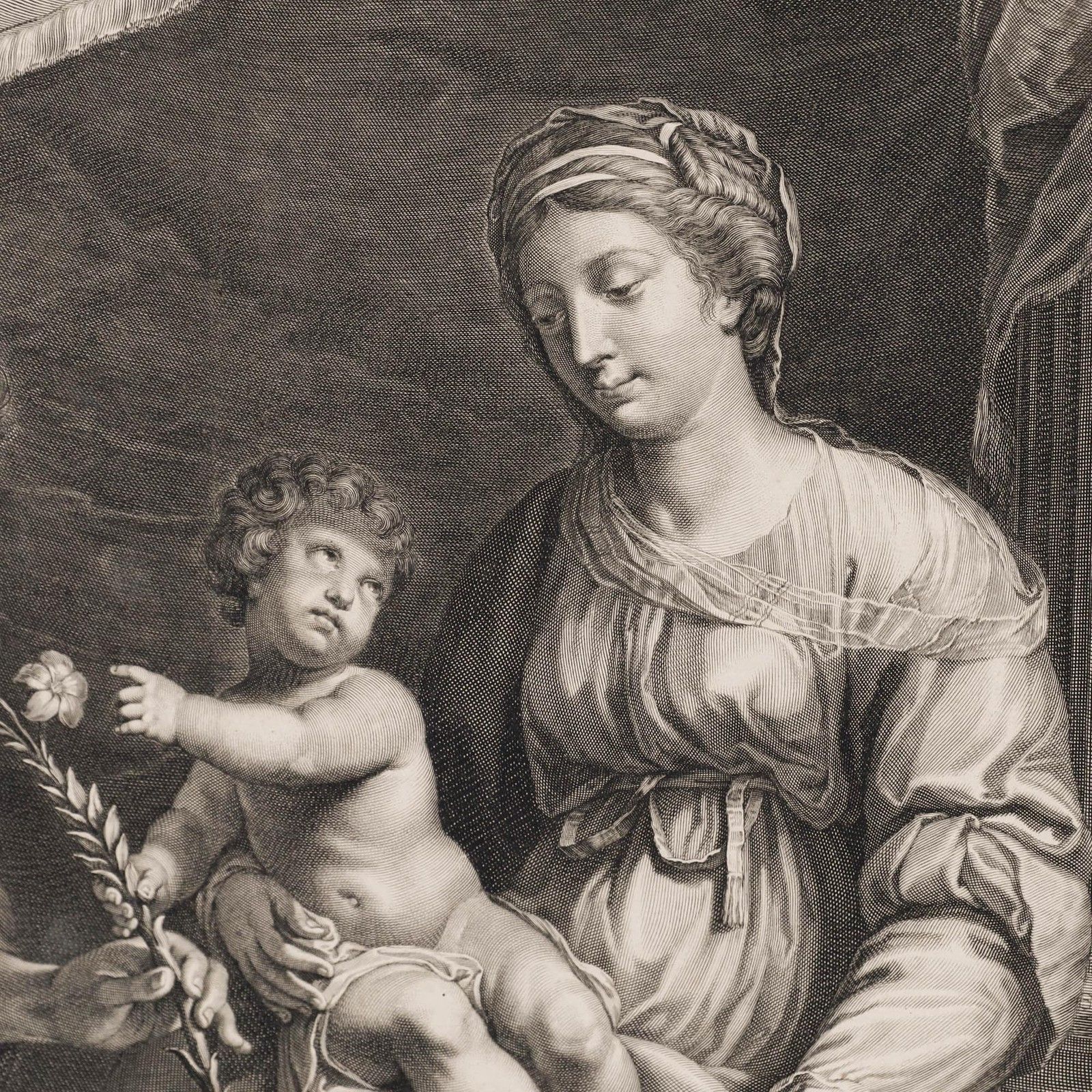 After Jacques Stella (1596 1657) 18th Century Engraving, One Lily photo Art