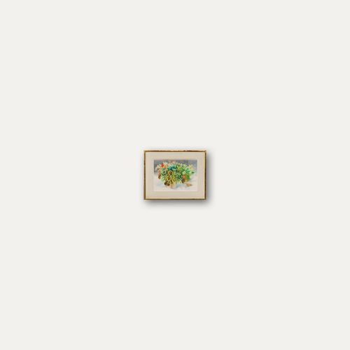 Catherine Dean (1905 1983) Framed 20th Century Watercolour, Potted Begonia photo vinterior