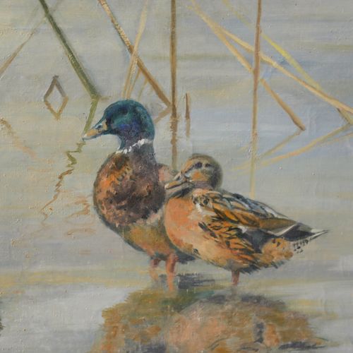 20th Century Oil Mallard Ducks Wading photo Art