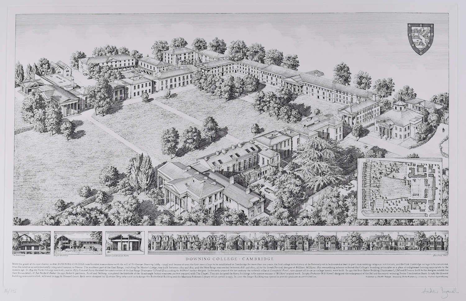 Downing College, Cambridge, Engraving By Andrew Ingamells, 2005