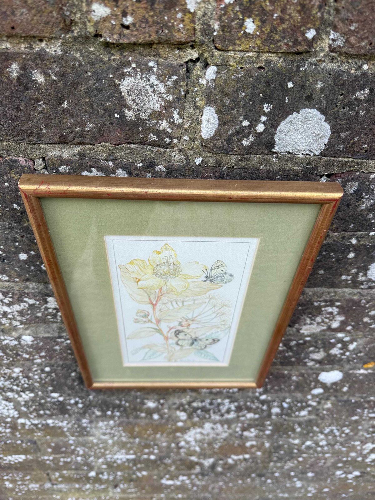 Vintage Botanical Watercolour, Rose Of Sharon, By Selina Martin – Framed Floral And Butterfly Illustration, Nature Inspired Wall Art photo vinterior