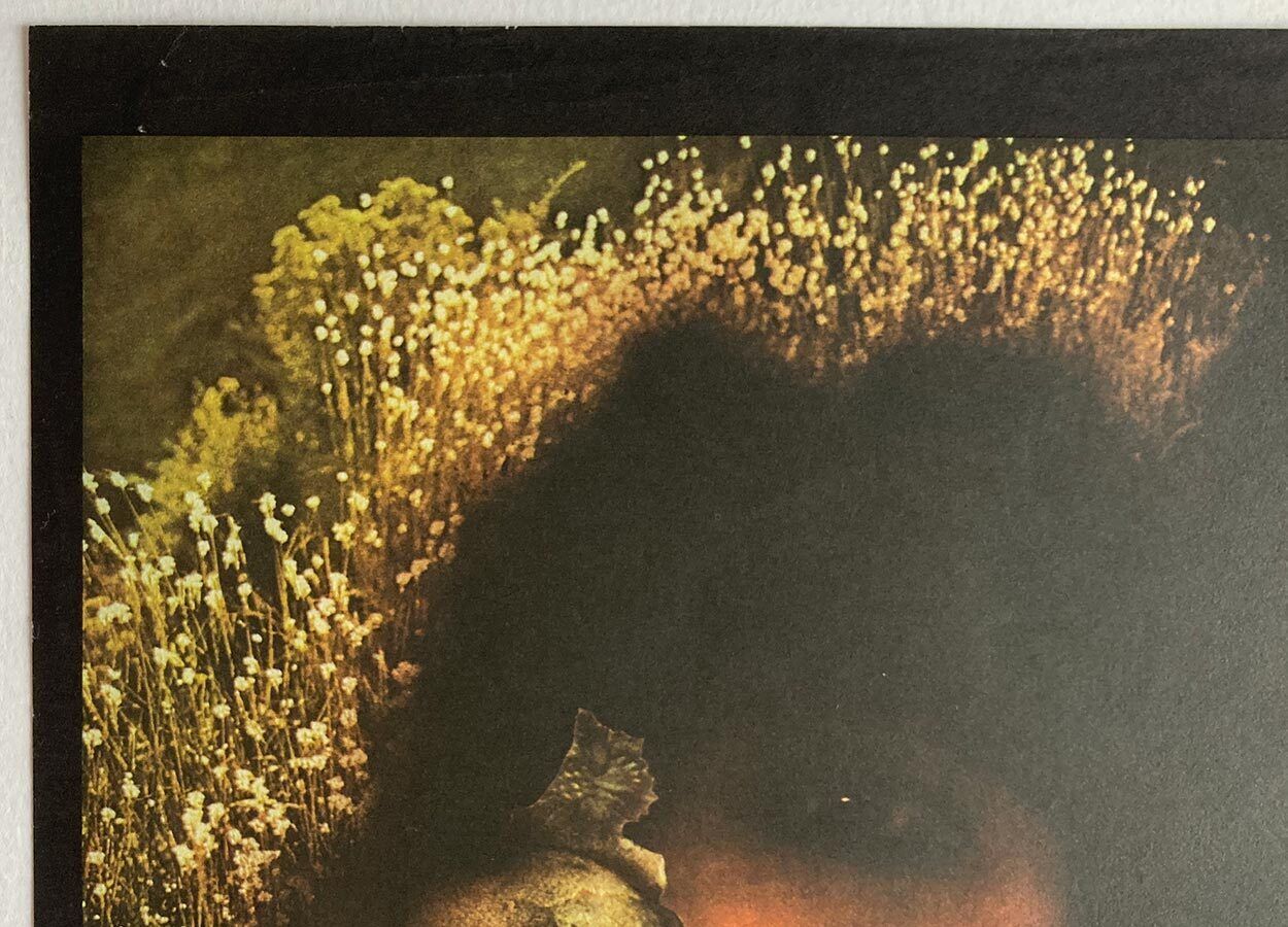 Original Film Poster, Lakeside Sonata, Josef Vyleťal, 1977, Genuine Czech Print photo vinterior