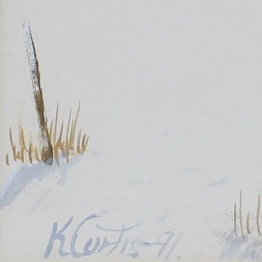 Acrylic Behind Glass By Kevin Curtis. Cock Pheasant In Flight photo for sale