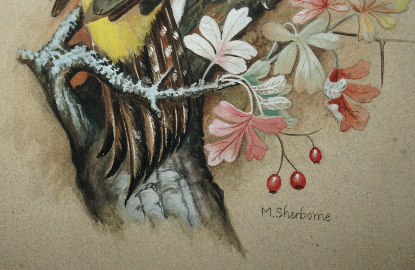 Vintage M Shermorne Signed Ornithology Watercolour Painting Of A Kingfisher Bird photo buy