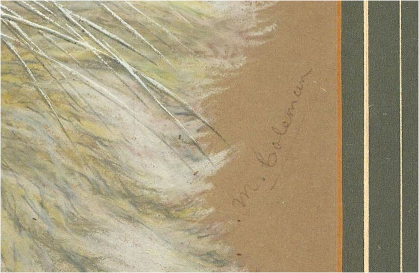 M. Coleman   20th Century Pastel, Timmy The Lion Cub photo Art