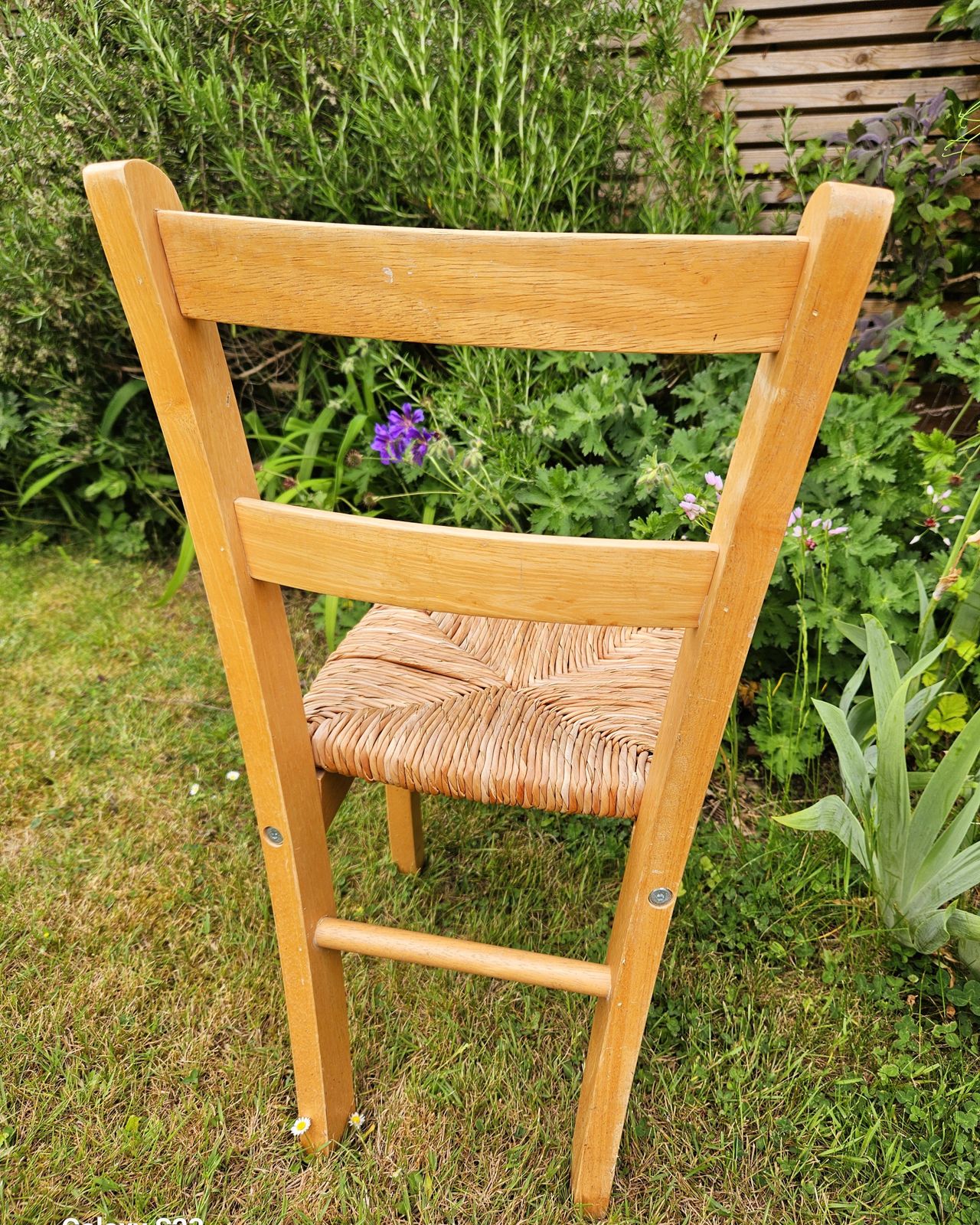 Vintage Ikea Children's Chair In Beech & Rush photo Furniture