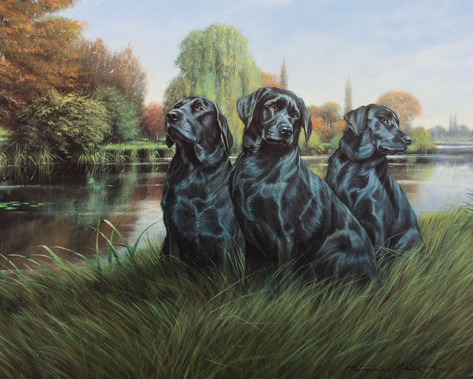 Terence Macklin   20th Century Digital Print, Black Beauties