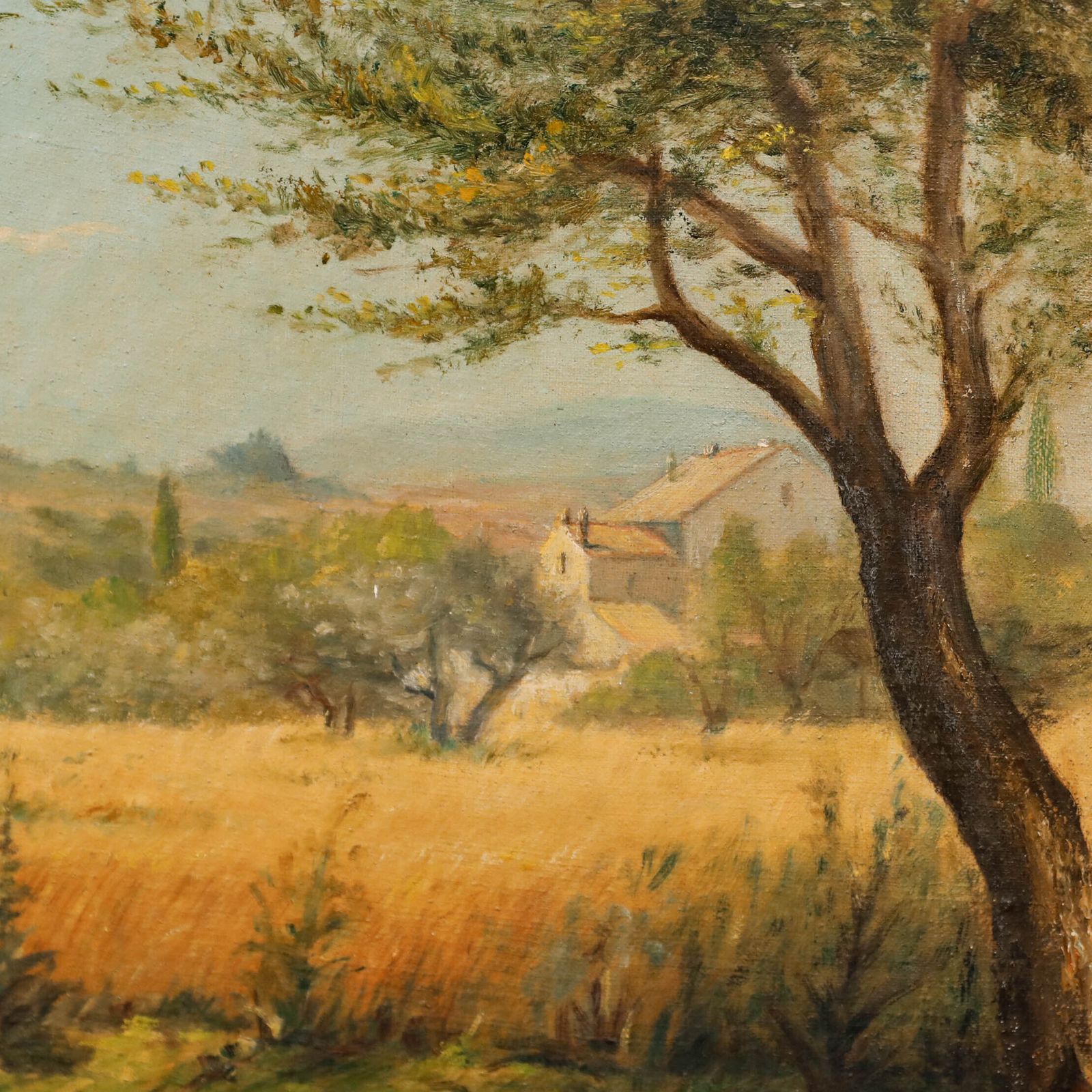Early 20th Century Oil   View Of The Olive Grove photo Art