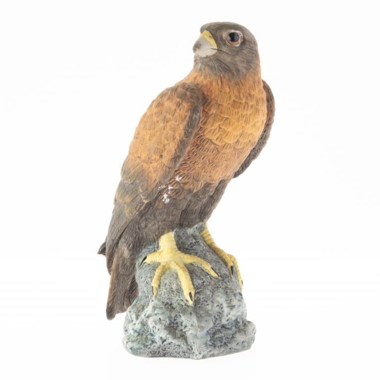 Hand Painted Hawk Bird Porcelain Ceramic Studio Sculpture