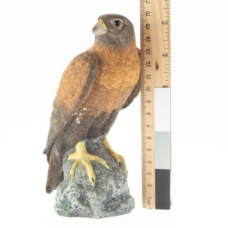 Hand Painted Hawk Bird Porcelain Ceramic Studio Sculpture photo furniture