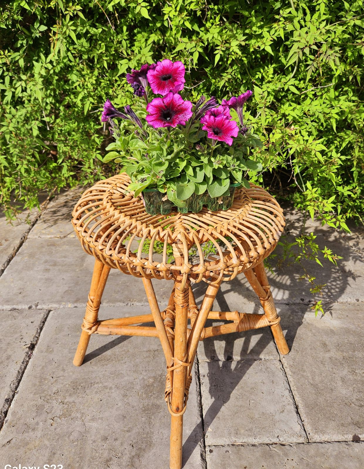 Iconic 1960's Italian Bamboo & Wicker Stool By Franco Albini For Bonacina photo furniture