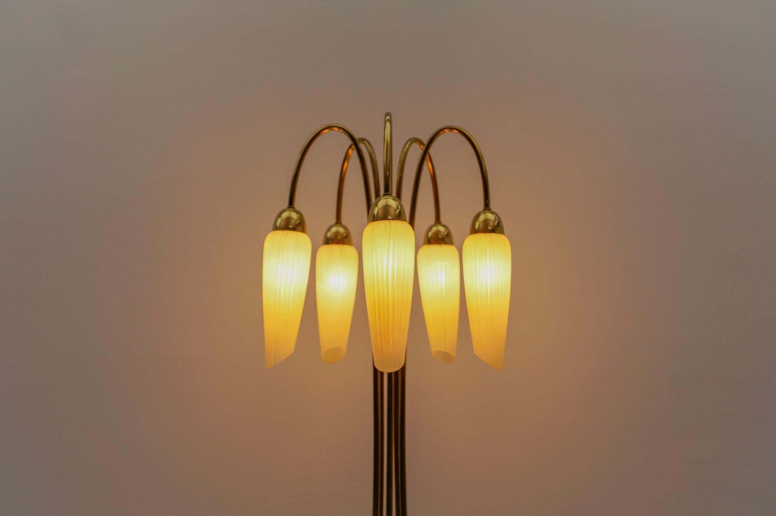 Very Rare Mid Century Modern Floor Lamp With Five Glass Shades, 1950s Italy photo 2101.0