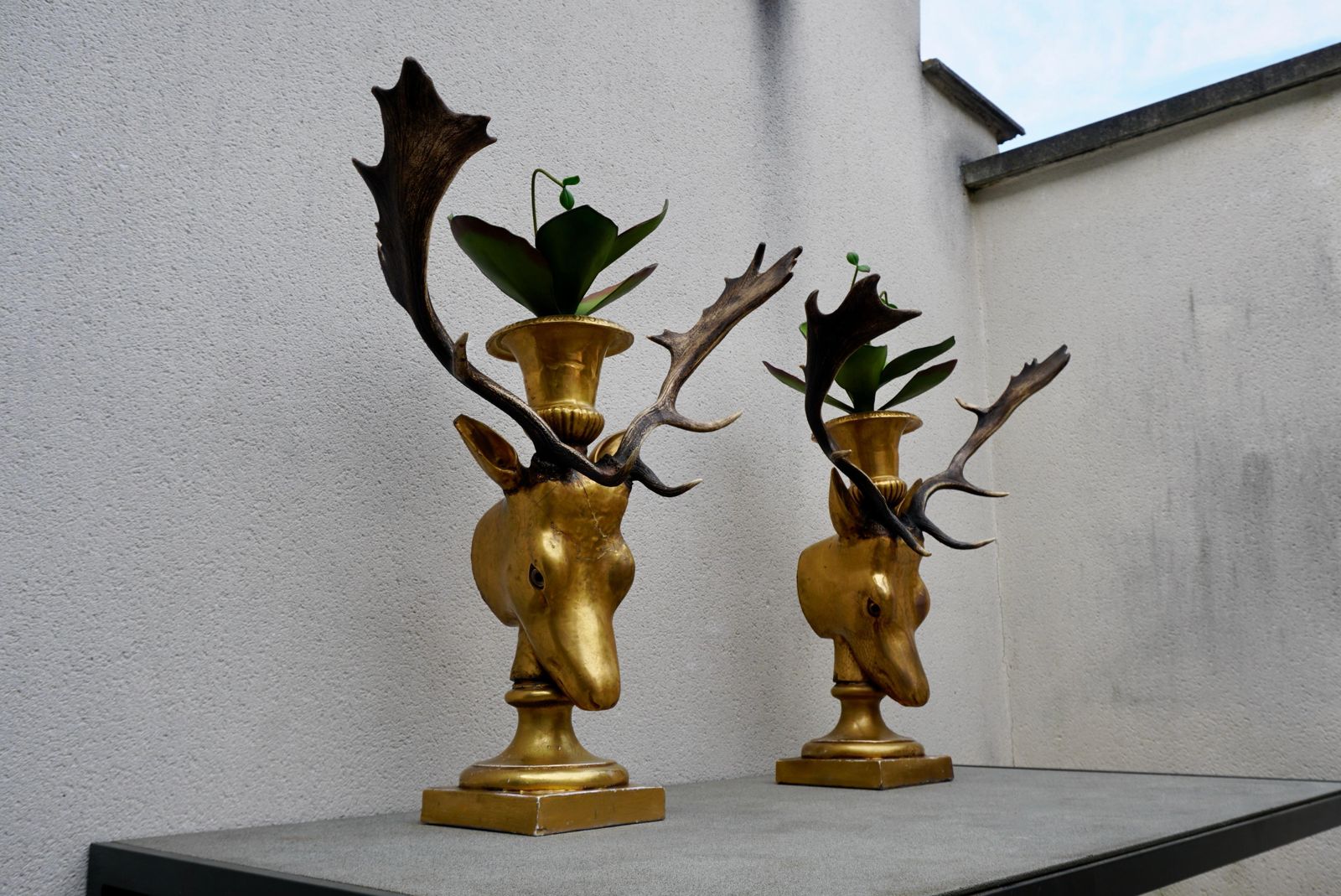 Beautiful Pair Of Golden Deer Heads With Antlers And Flower Pots photo Home Decor