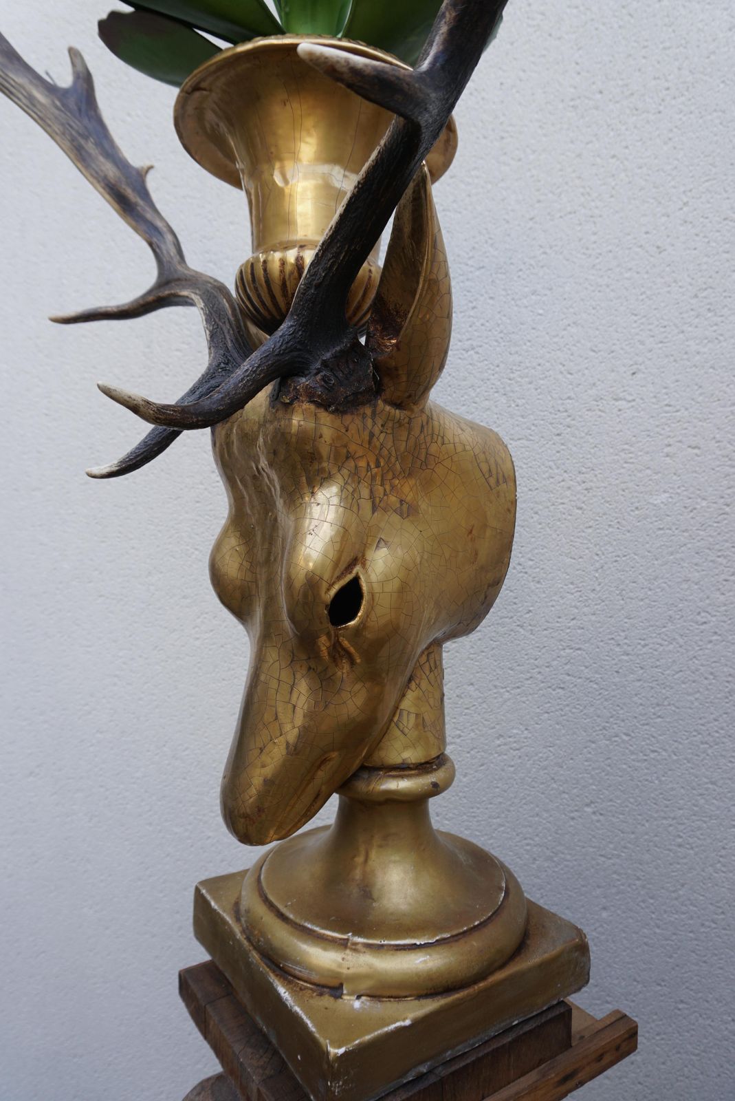 photo vinterior Beautiful Pair Of Golden Deer Heads With Antlers And Flower Pots