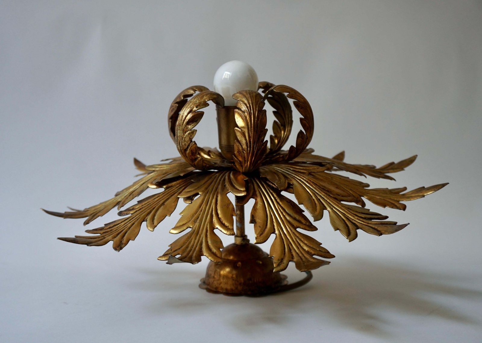 Gilt Firenze Wall Or Ceiling Lamp, 1960's photo for sale