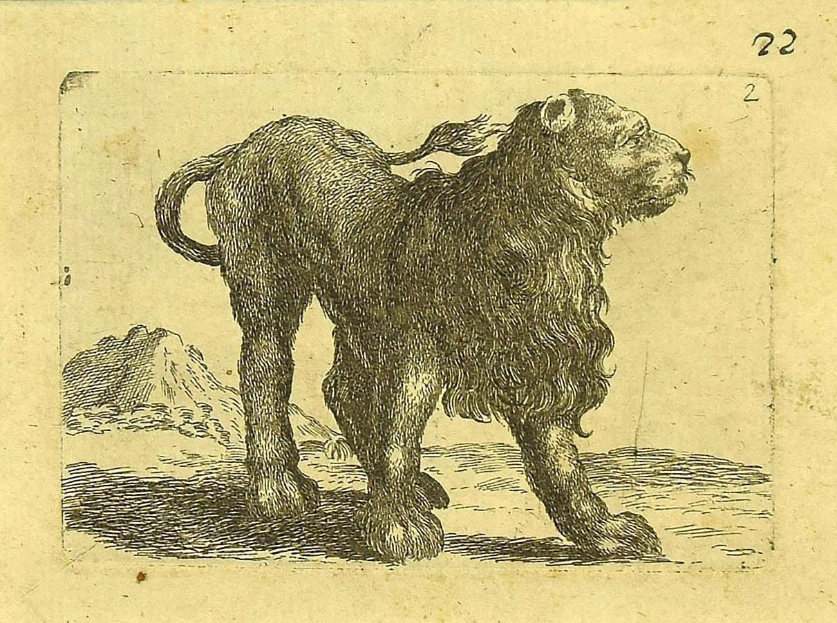 Antonio Tempestathe Lion   Etching By Antonio Tempesta   1610s1610s