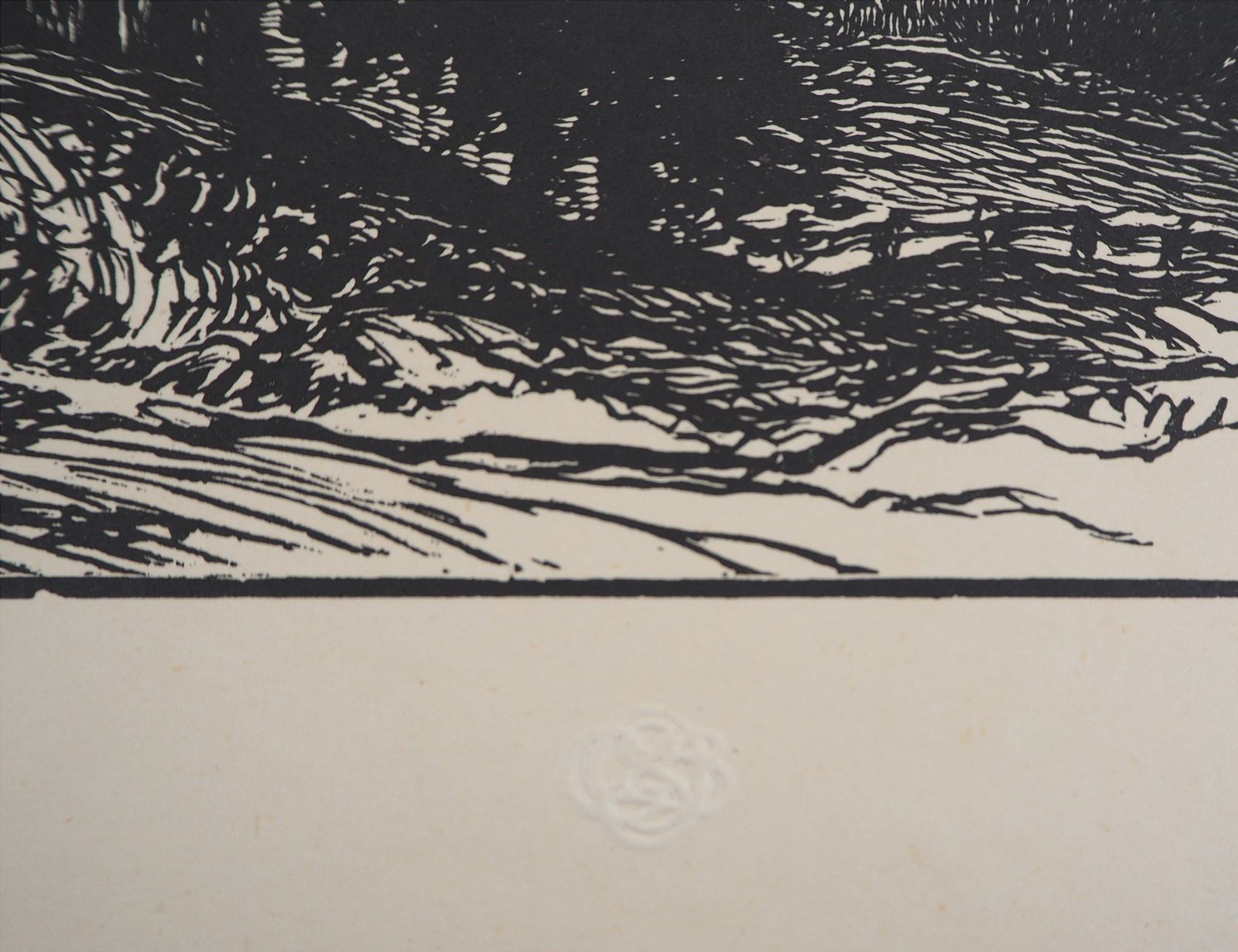 Pierre Gusmanmountain Landscape In Switzerland   Original Wooodcut, Handsigned1924 photo 172.0