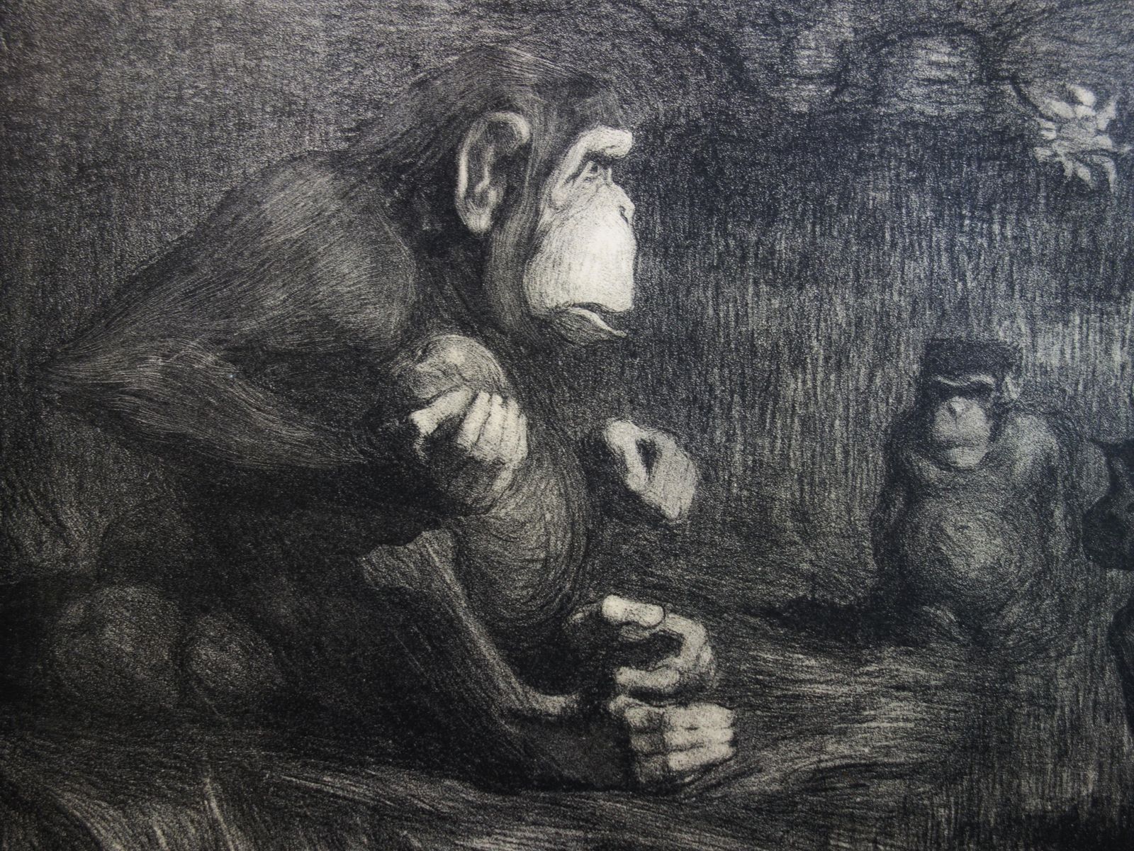 Paul Jouvemonkey Business : The Judgment Of Paris   Original Lithograph, 18971897 photo Art