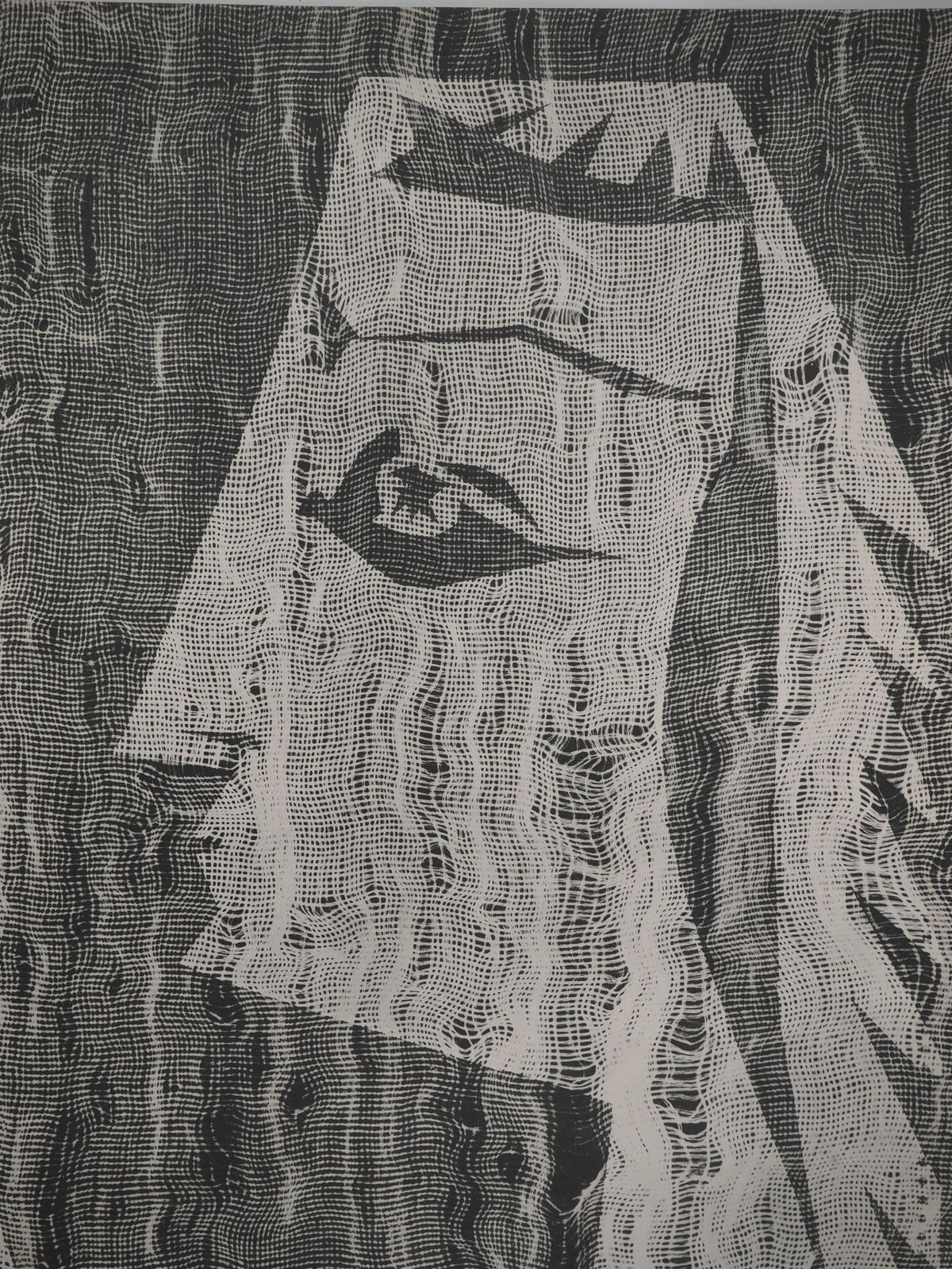 Pablo Picassodiurnes: Jacqueline Through Fabric   Original Collotype And Stencil (Cramer #1151962 photo for sale