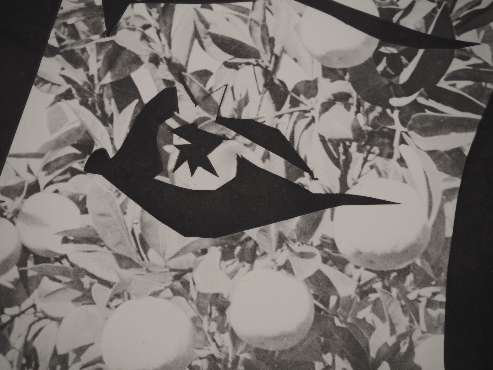 Pablo Picassodiurnes: Woman In A Lemon Tree   Original Collotype And Stencil (Cramer #115)1962 photo for sale