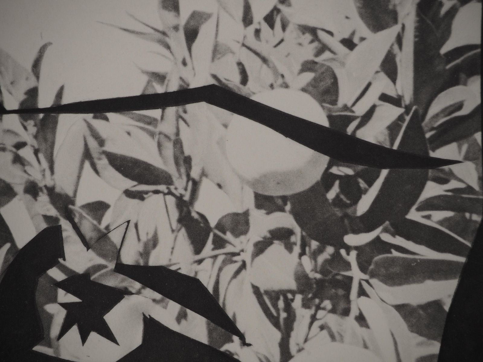 Pablo Picassodiurnes: Woman In A Lemon Tree   Original Collotype And Stencil (Cramer #115)1962 photo vinterior