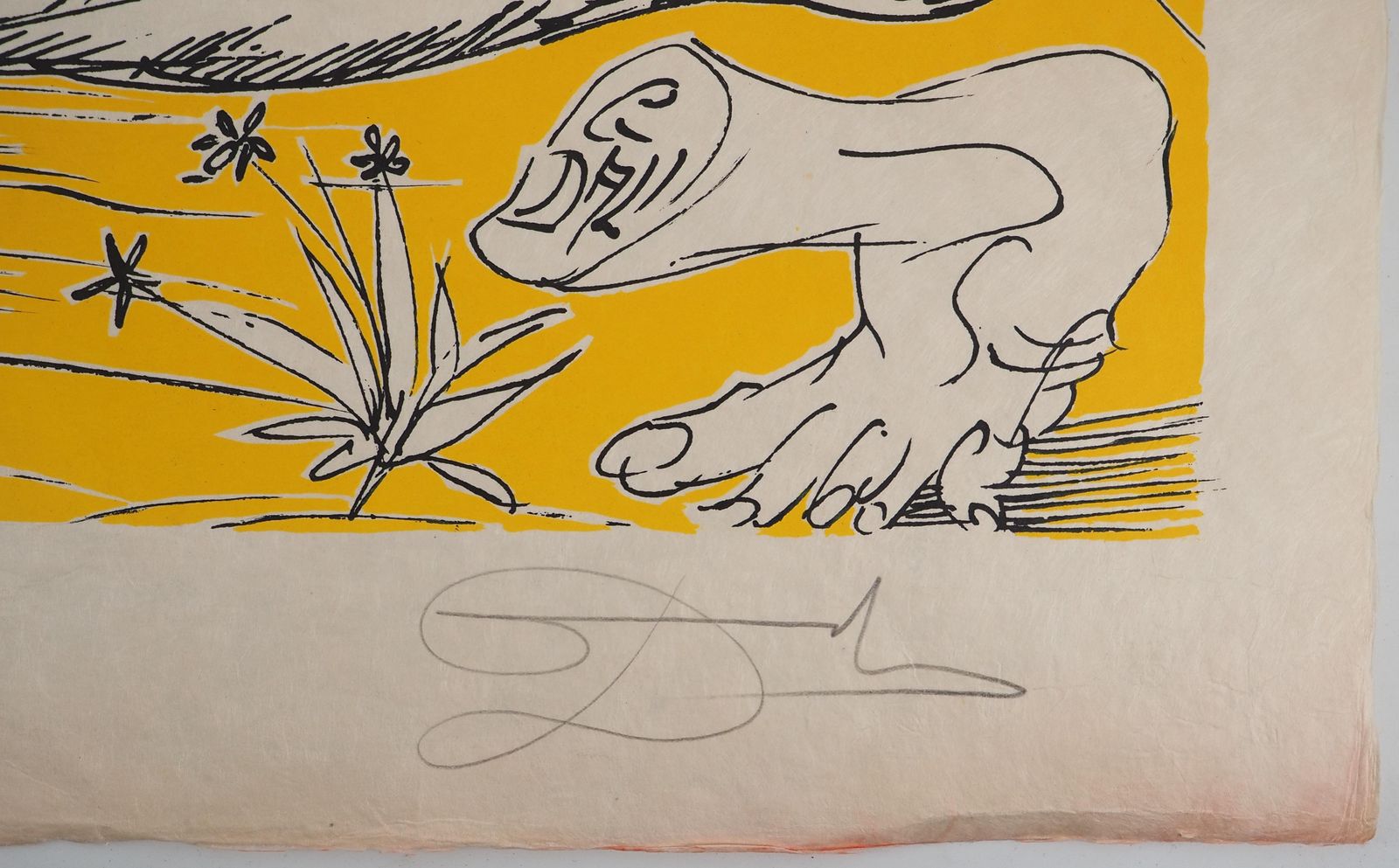 Salvador Dalí­Pantagruel : The Odd Voyage   Original Handsigned Lithograph (Field #73 7i)1973 photo furniture