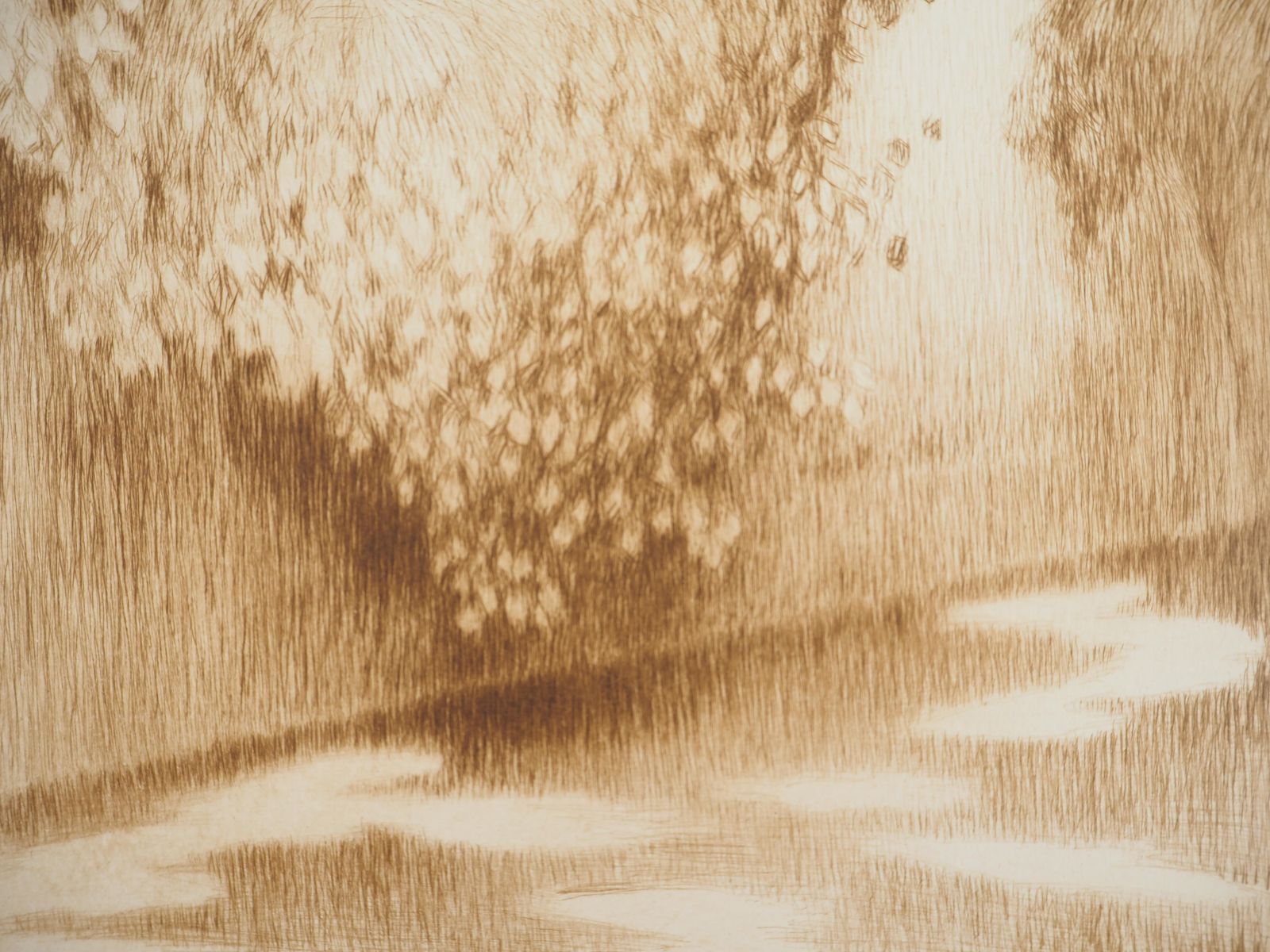 Henri Le Sidanerimpressionism : House In The Woods   Original Etching1928 photo vinterior