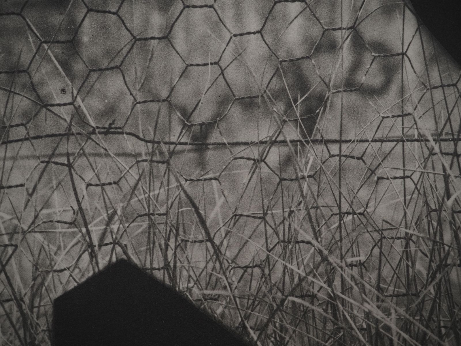 Pablo Picassodiurnes: Goat In The Field   Original Collotype And Stencil (Cramer #115)1962 photo Art