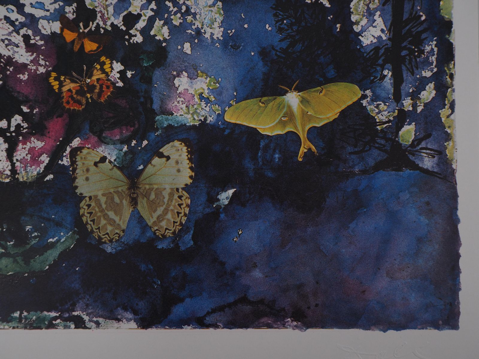 Salvador Dalí­Butterfly Suite : Les Alpes   Heliogravure   1969 (Field #69 2 C)1969 photo 172.0