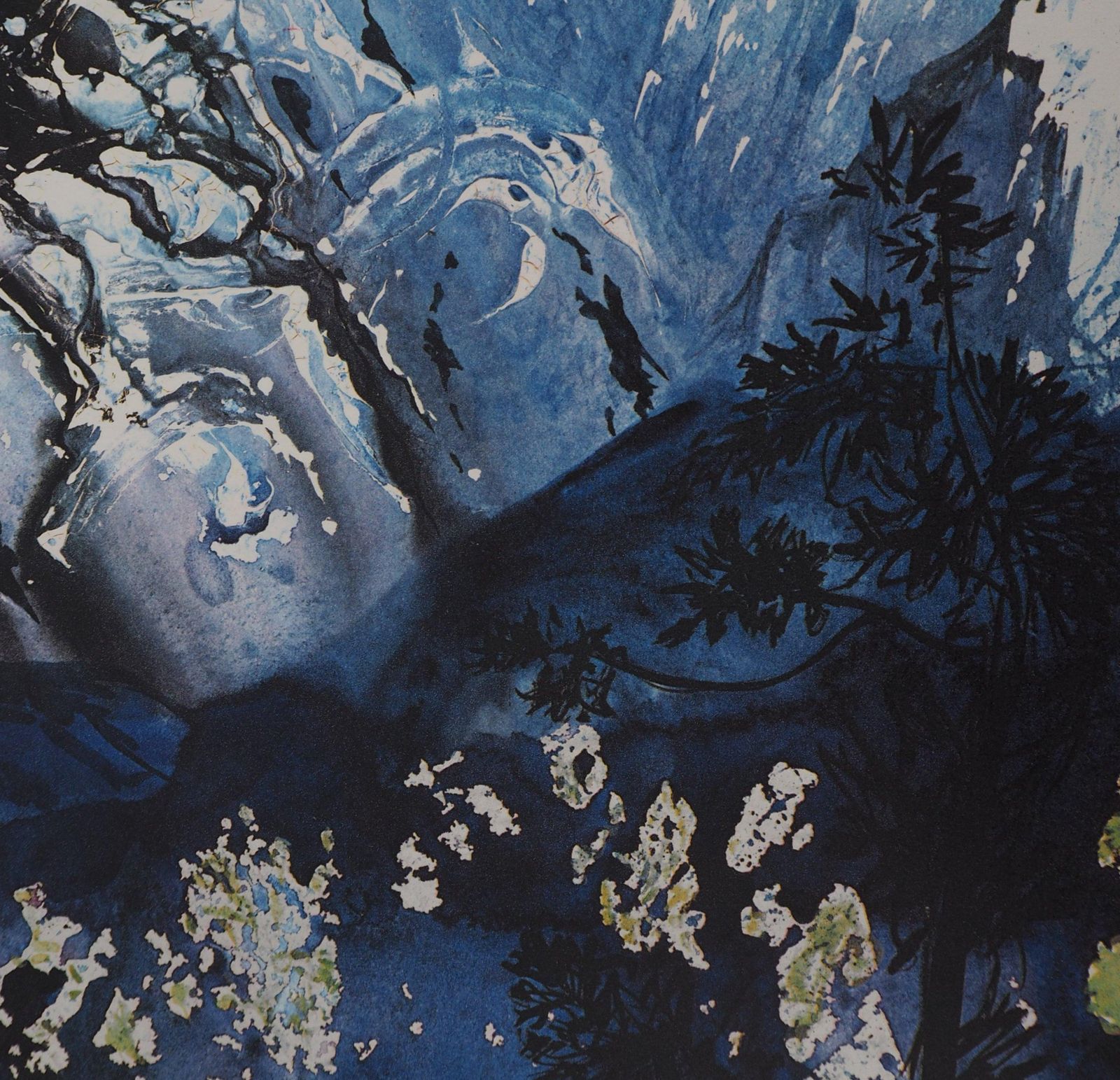 Salvador Dalí­Butterfly Suite : Les Alpes   Heliogravure   1969 (Field #69 2 C)1969 photo buy