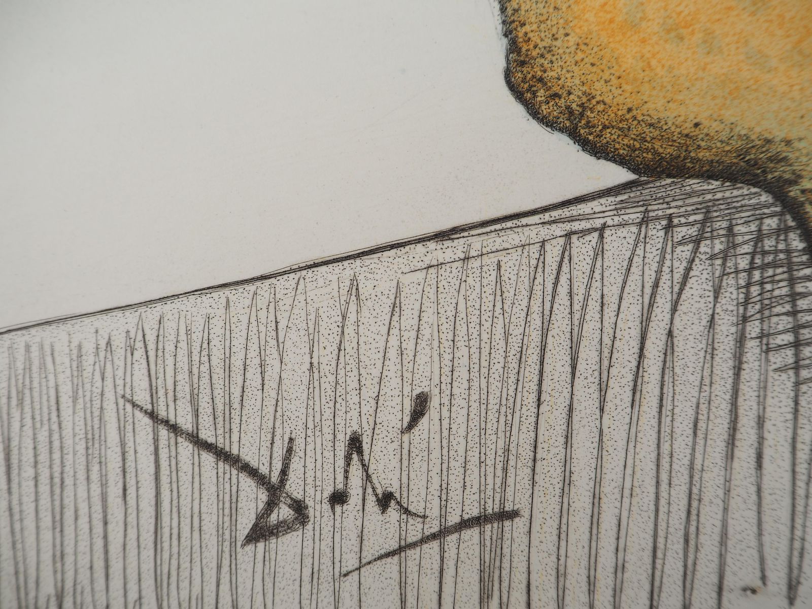 Salvador Dalí­Casanova : Sommelier Love With Cucumber   Original Etching (Field #67 4e)1967 photo for sale