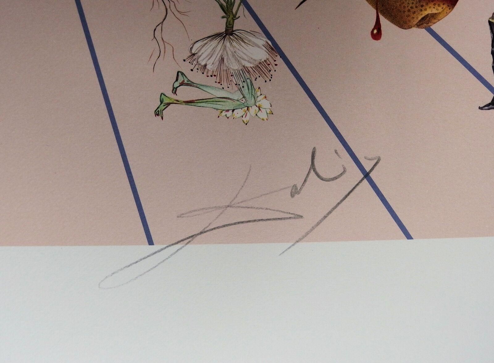 Salvador Dali, Flordali II, Butterfly Rose 1981 photo for sale
