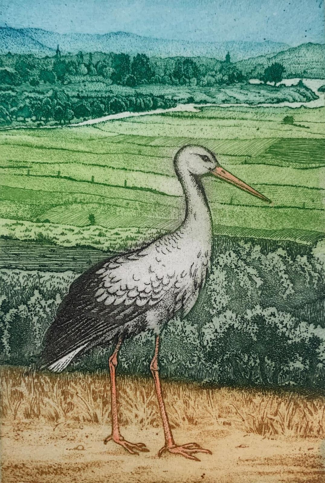 Marian Bocianowskia Stork. Contemporary Figurative Print, Animal, Bird, Colourful, Polish Artist2009