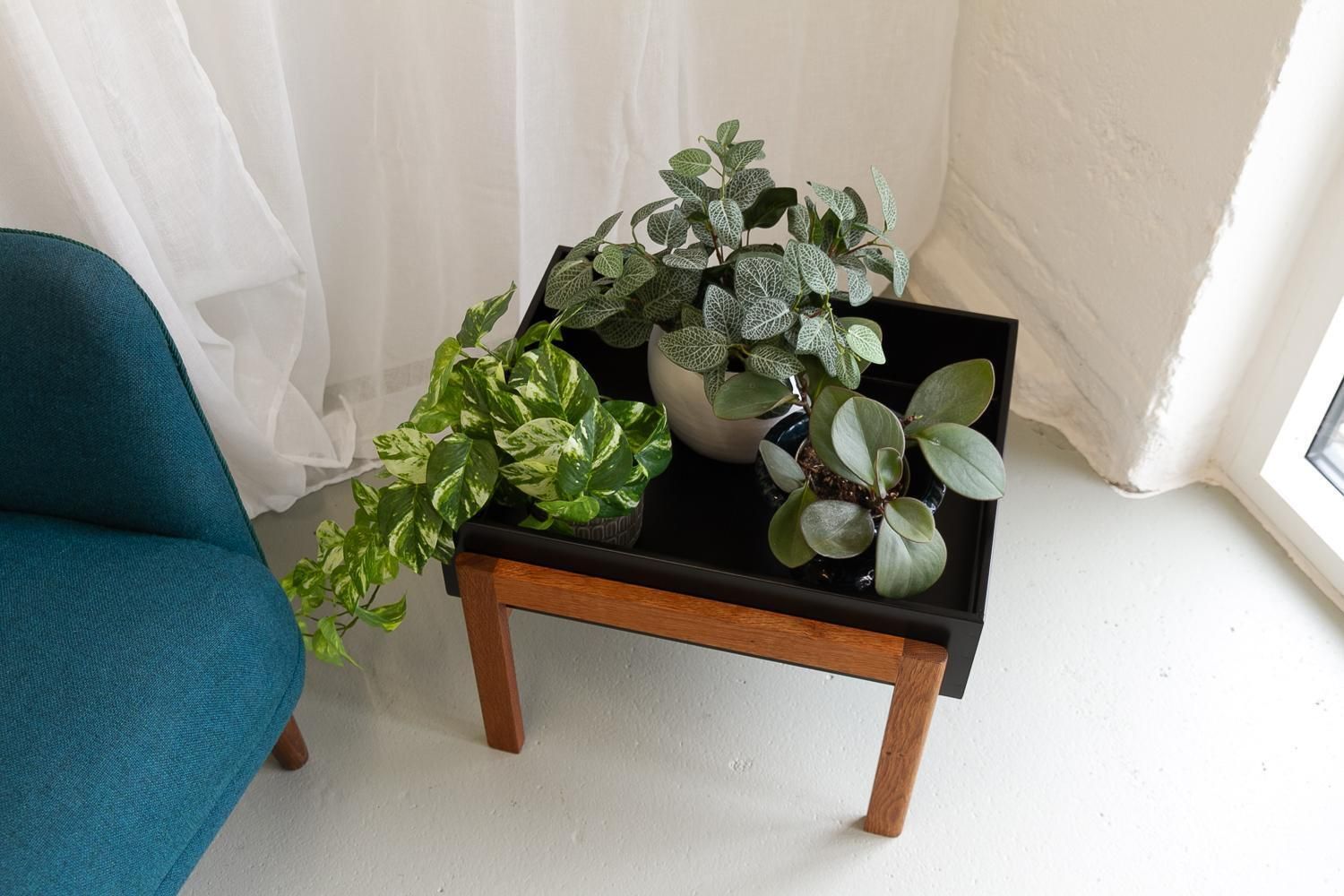 photo buy Danish Modern Oak Planter, 1960s.