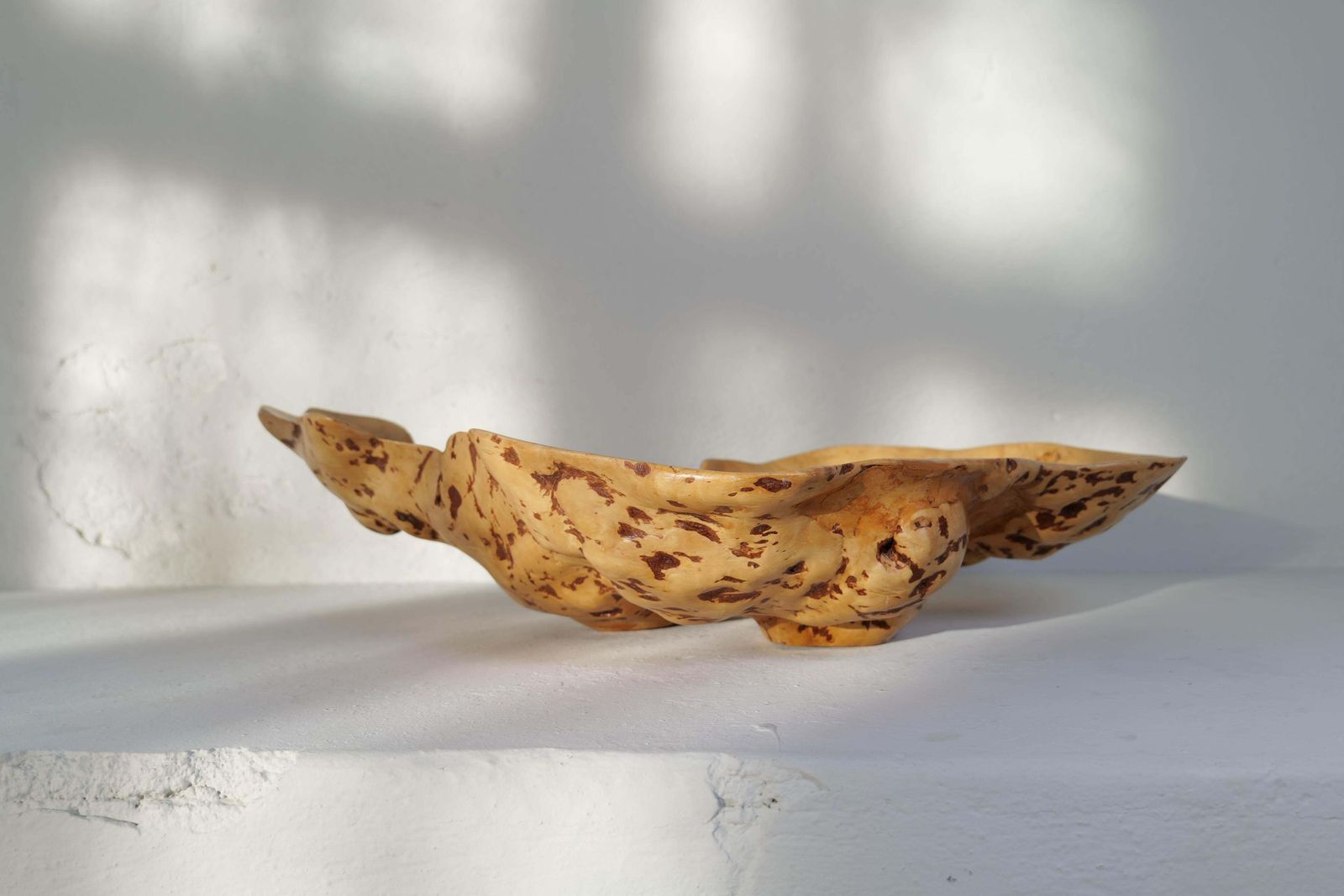Swedish Folk Art Exeptional Large Organic Burl Curly Birch Bowl, 1980s photo for sale