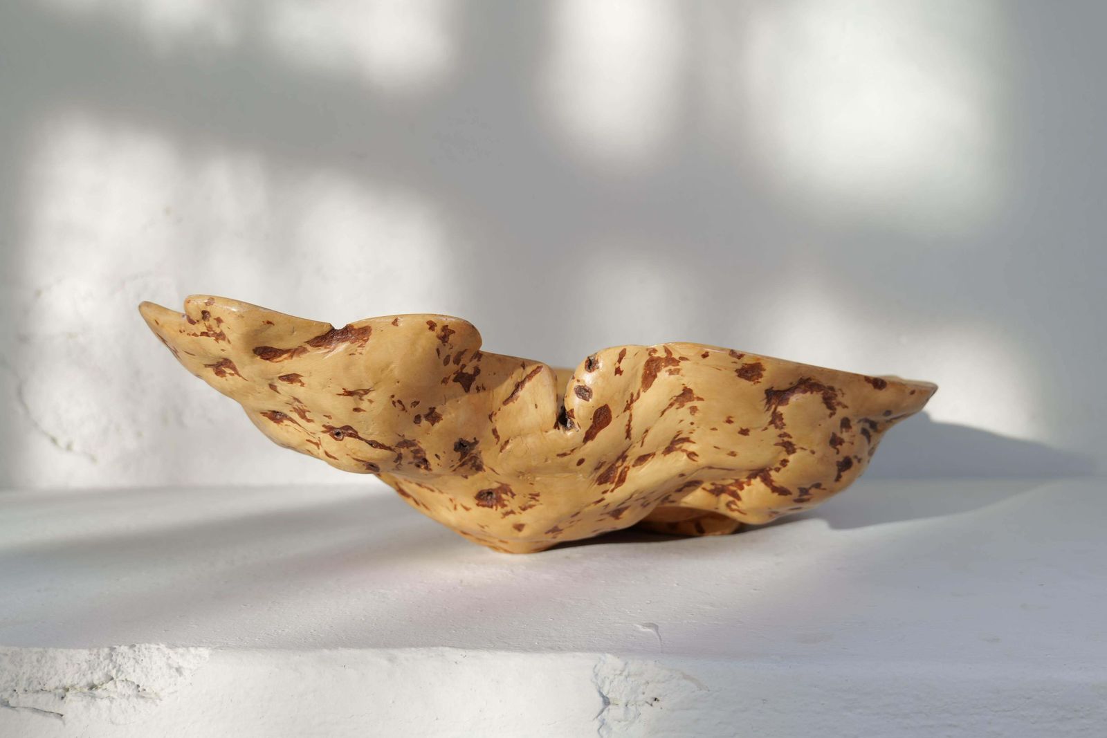 photo for sale Swedish Folk Art Exeptional Large Organic Burl Curly Birch Bowl, 1980s